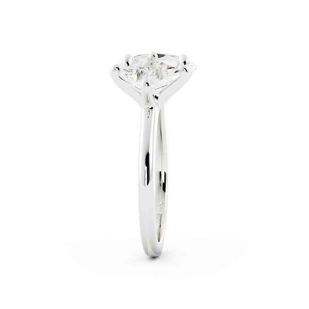 Princess And Oval Diamond Tension Ring